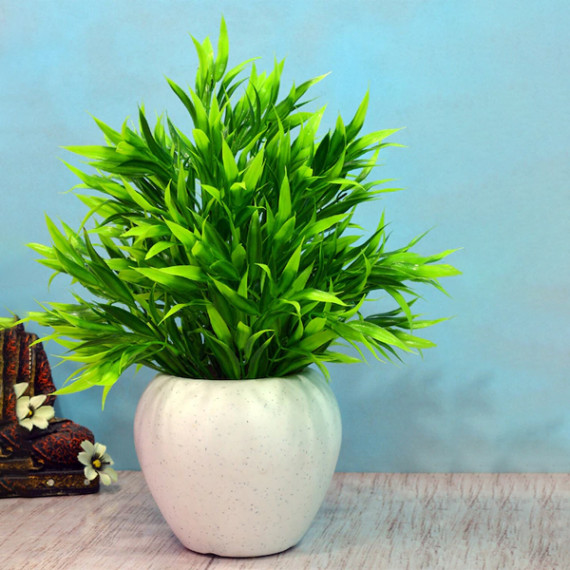 https://bloomwow.in/vi/products/green-white-artificial-bamboo-leaves-in-apple-pot