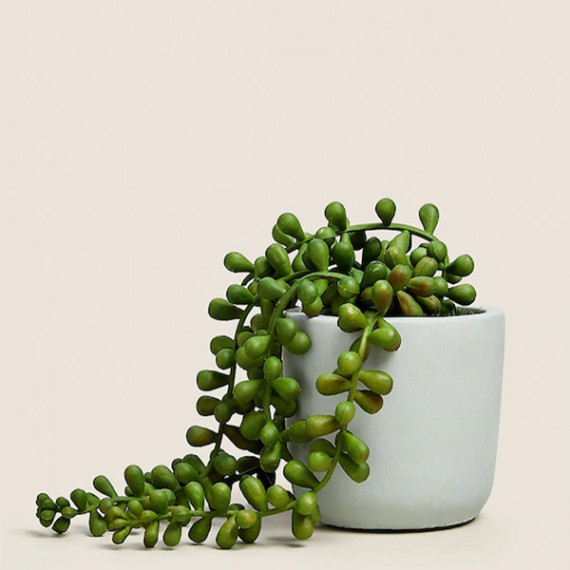 http://13.232.74.28/vi/products/green-artificial-plant-with-pot